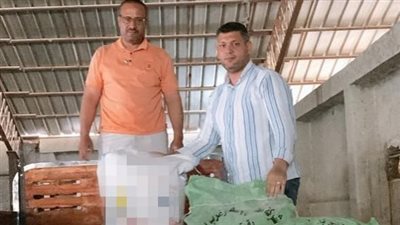 ضبط منخل يعيد بيع الدقيق البلدى المدعم بالأسواق كفاخر بالبحيرة 