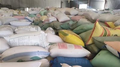 توريد 208 آلاف طن قمح لشون وصوامع البحيرة 