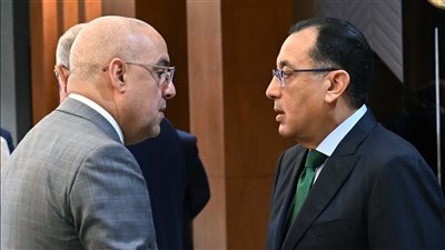 مجلس الوزراء يوافق على تخصيص أراضي بنظام البيع بالدولار لـ 34 شركة