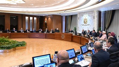 مدبولي: نُقدم كل أوجه الدعم المطلوب لدفع العمل بمشروعات القطاع الخاص القائمة والتوسعات الجديدة