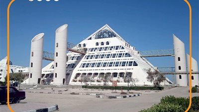 اختصاصات المجلس الوطني للتعليم والبحث والابتكار الجديد (إنفوجراف) 