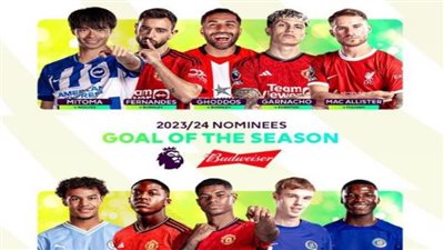 الدوري الإنجليزي، 10 لاعبين يتنافسون على جائزة 