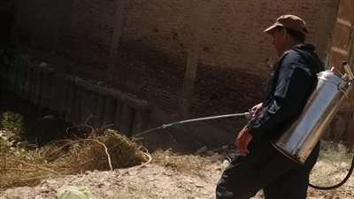 صحة المنيا: حملات مكثفة لمكافحة مسببات وناقلات الأمراض