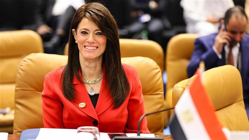 رانيا المشاط، فيتو