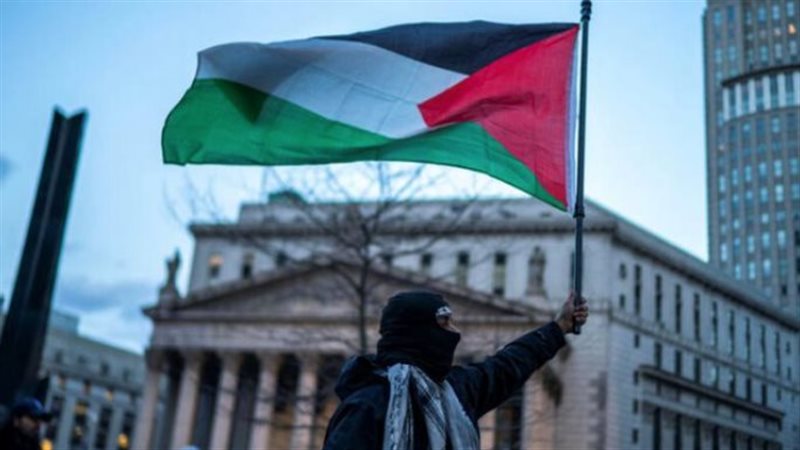 فلسطين، فيتو