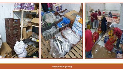 ضبط 4,5 طن أسماك فاسدة بالشرقية