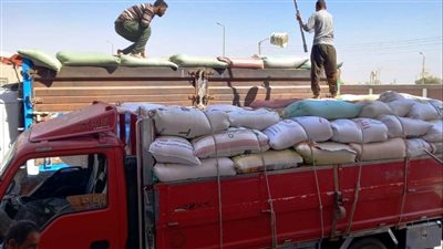 توريد 96 ألفا و580 طن قمح لصوامع سوهاج منذ بدء الموسم