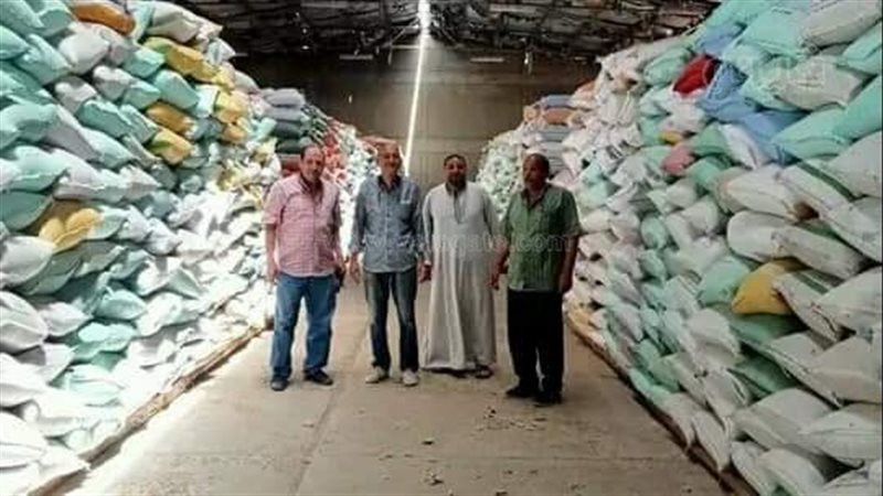 توريد القمح في الصوامع