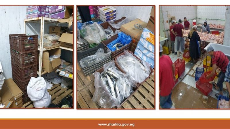 بيطري الشرقية ضبط