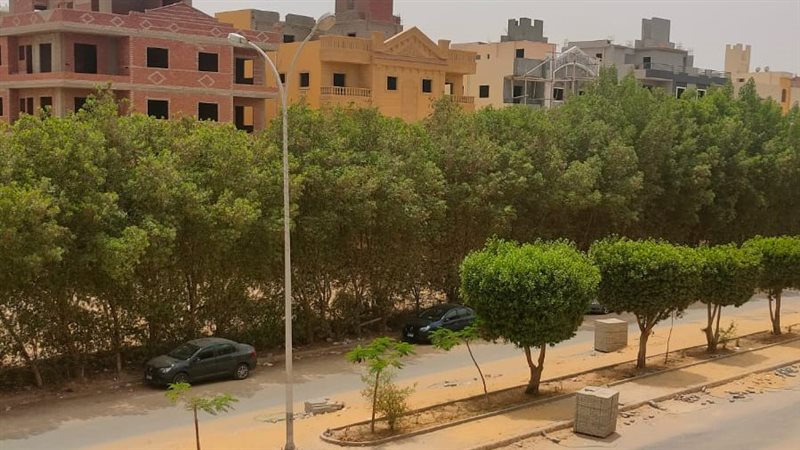 السور الشجري لمدينة