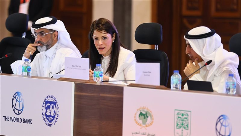 الدكتورة رانيا المشاط
