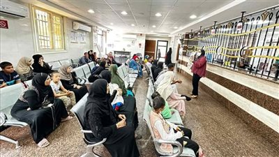 بيطري الأقصر يعقد ندوة إرشادية طبية للحفاظ على الثروة الحيوانية بمركز أرمنت