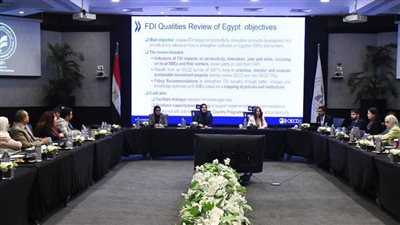 التخطيط تشارك في اجتماع مشروع خصائص الاستثمار الأجنبي 