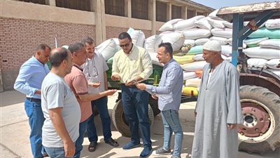 توريد 212 ألف طن قمح لشون وصوامع البحيرة 