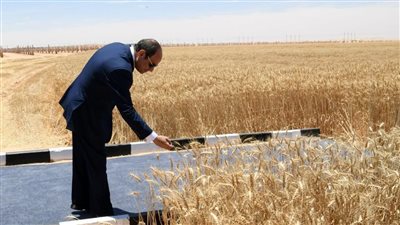 السيسي يقود جهود تطوير مشروعات الزراعة وتلبية احتياجات المواطنين وتوفير فرص عمل