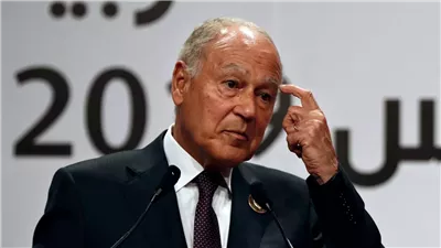 أبو الغيط بعد قرار العدل الدولية: استمرار الهجوم على رفح جريمة يجب وقفها فورًا