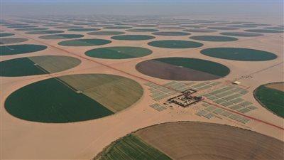 توشكى حلم تحول إلى حقيقة، أكبر مشروع زراعي صناعي في العالم (صور)