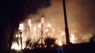 حريق هائل في 50 كرم نخيل في الأقصر