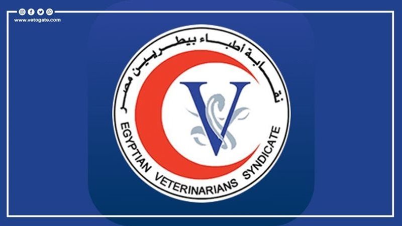 نقابة البيطريين،