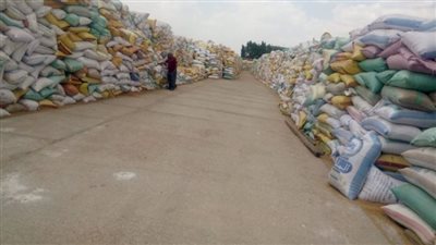 توريد 594 طن قمح للصوامع والشون بالشرقية