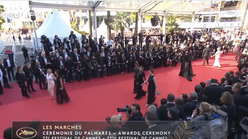 مهرجان كان، فيتو
