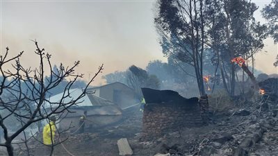 حاميها حراميها، مفاجأة بقائمة المتهمين بإشعال حرائق غابات أودت بحياة 130 شخصا في تشيلي 