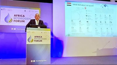 هيئة الاستثمار: نسعى لجذب استثمارات هولندية في الهيدروجين الأخضر