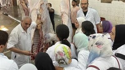 الطب البيطري في الجيزة: إلغاء الإجازات وتوفير الأختام بالمجازر خلال عيد الأضحى