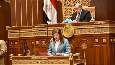 التصويت الإلكتروني أبرزها، وزيرة التخطيط تستعرض خطة العام الجديد أمام الشيوخ 