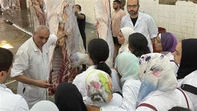 حملات الطب البيطري