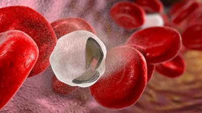 ​منها تجنب المضادات الحيوية، نصائح هيئة الدواء لمرضى أنيميا الفول 