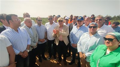  محلية البرلمان تتفقد مشروع زراعة 3 آلاف فدان من الجوجوبا بالبحر الأحمر