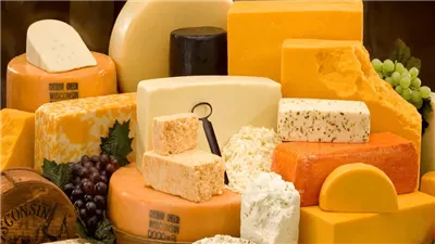 الأغلى بـ 1688 جنيها.. 12 نوعا تتصدر قائمة أسعار أغلى أنواع الجبن في السوق المحلي.. والمحال التجارية تجذب المواطنين بالتخفيضات