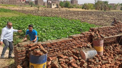 إزالة 3 حالات تعد على أراضي زراعية بأرمنت في الأقصر 