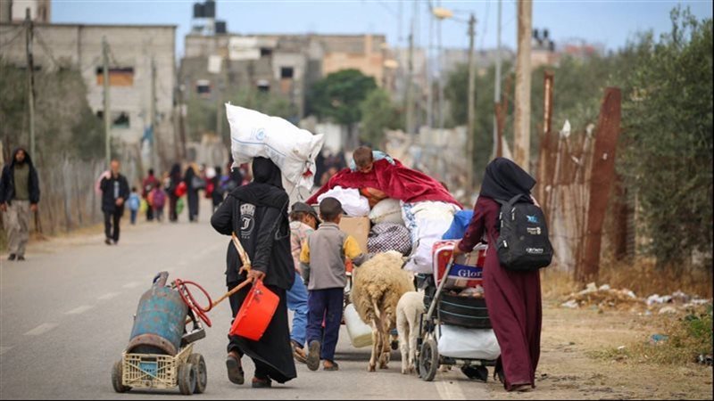 تهجير الفلسطينيين،فيتو