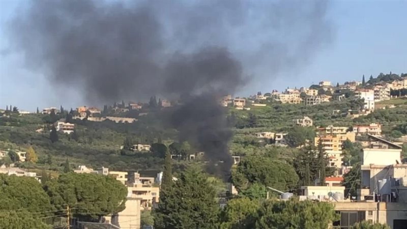 جنوب لبنان، فيتو
