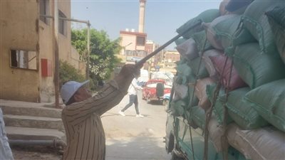 أحدث إحصاء، توريد 219 ألف طن قمح لشون وصوامع البحيرة 
