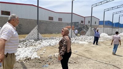 إزالة 2 جمالون مخالف بحي شرق الإسكندرية