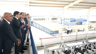 مدبولي يتفقد عددا من المشروعات بالبحيرة والإسكندرية