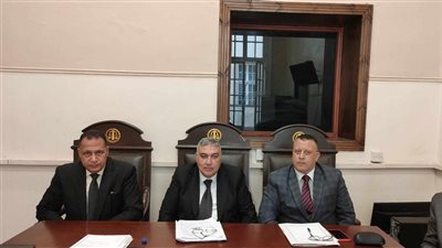 جنايات الإسكندرية تحيل أوراق فرد أمن للمفتي بتهمة قتل والدته 