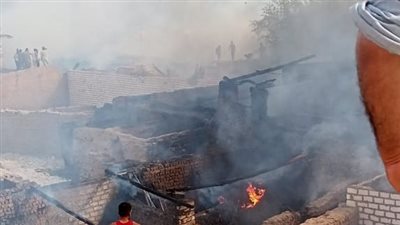 بسبب البوص، نفوق 5 رؤوس ماشية في حريق شب بـ8 منازل وأحواش بأسيوط 