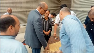 وكيل تموين الدقهلية: 37 موقعا تخزينيا استقبل 265 ألف طن قمح منذ بدء الموسم