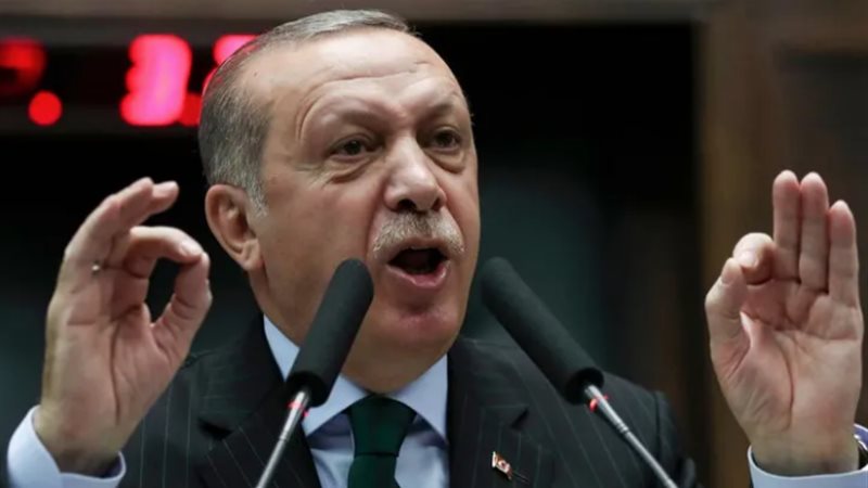 أردوغان، فيتو