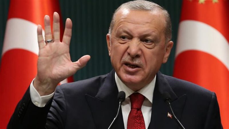 أردوغان، فيتو 