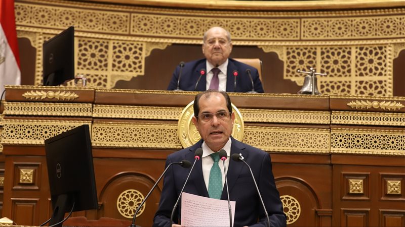 مجلس الشيوخ، فيتو