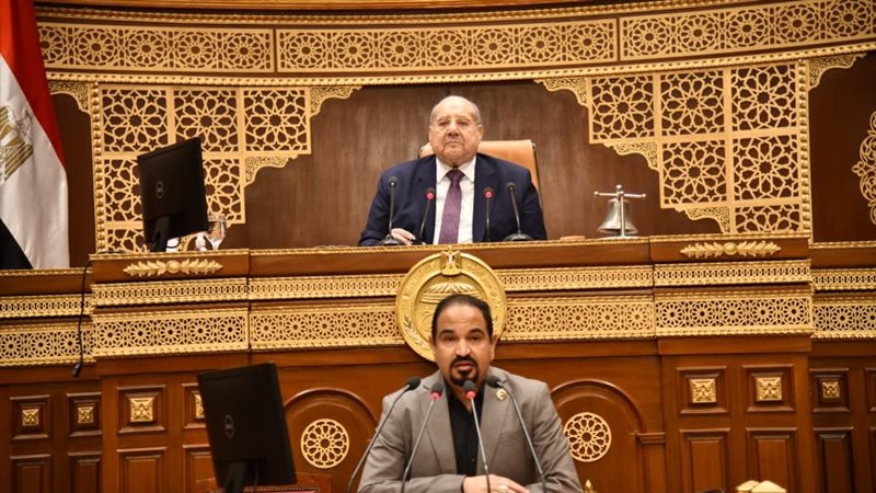 مجلس الشيوخ، فيتو
