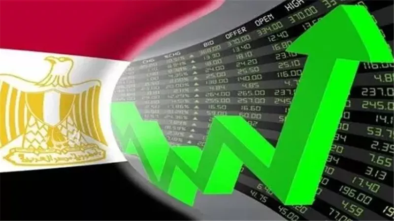 الاستثمارات الخاصة،