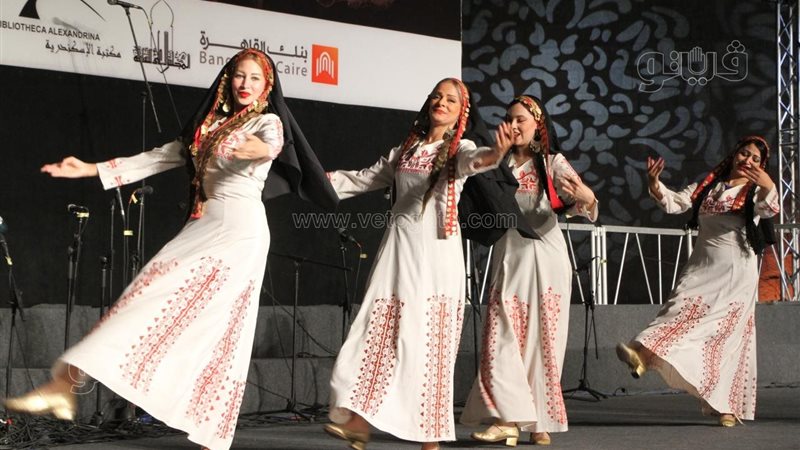 فرقة رضا.فيتو