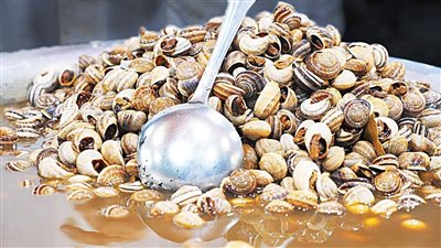  الحلزون المغربي يغزو منطقة الأندلس وسط تراجع الإنتاج المحلي