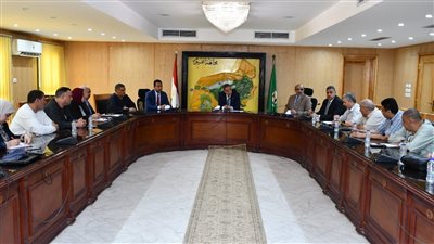 تحركات رسمية وشعبية لمحافظ الفيوم لخفض أسعار اللحوم 